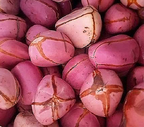 Kola Nut